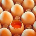 Çürük Yumurta