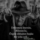 Deli Olmak