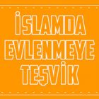 Zina Etmek