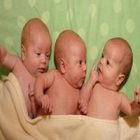 Üçüz Bebek