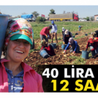 Irgatlık Yapmak